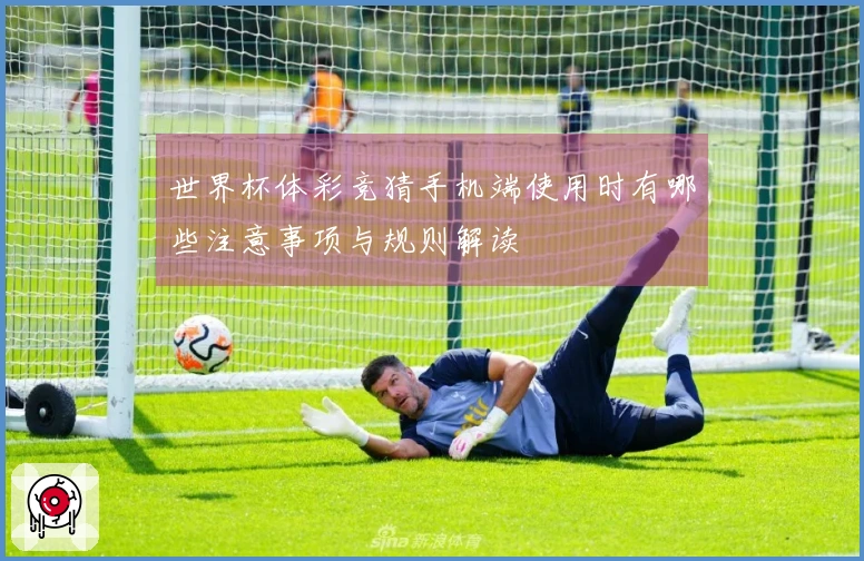 世界杯体彩竞猜手机端使用时有哪些注意事项与规则解读