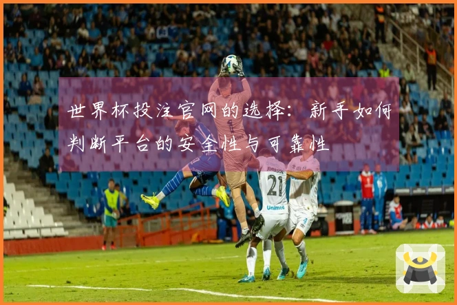 世界杯投注官网的选择：新手如何判断平台的安全性与可靠性