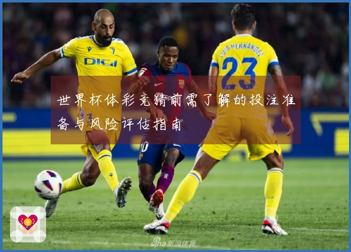 世界杯体彩竞猜前需了解的投注准备与风险评估指南