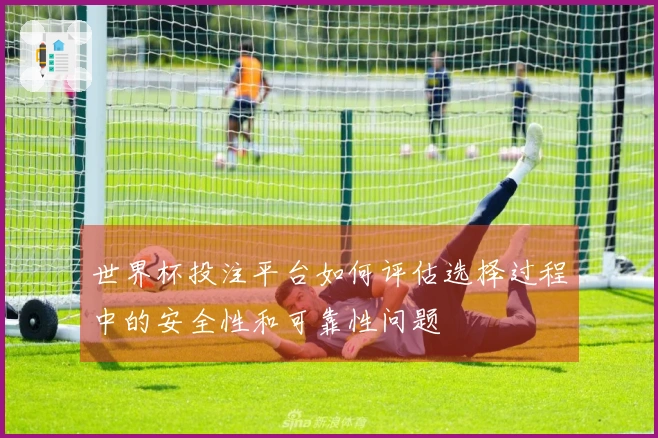 世界杯投注平台如何评估选择过程中的安全性和可靠性问题