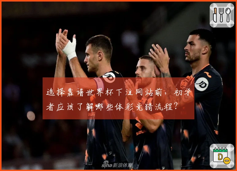 选择靠谱世界杯下注网站前，初学者应该了解哪些体彩竞猜流程？