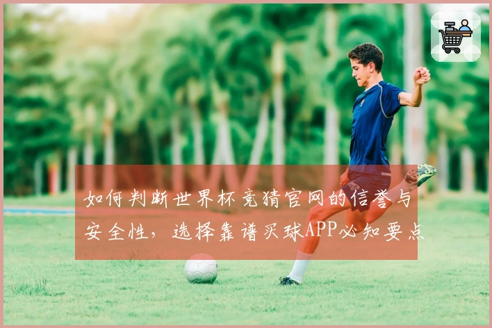 如何判断世界杯竞猜官网的信誉与安全性，选择靠谱买球APP必知要点