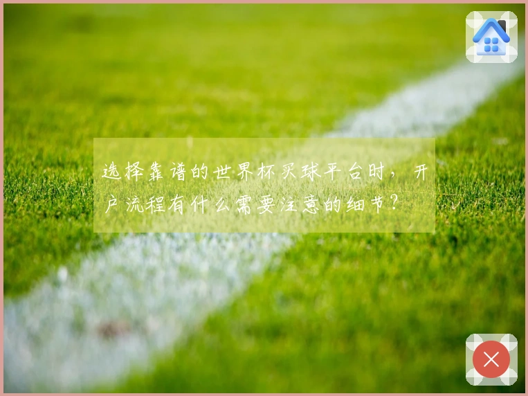 选择靠谱的世界杯买球平台时，开户流程有什么需要注意的细节？