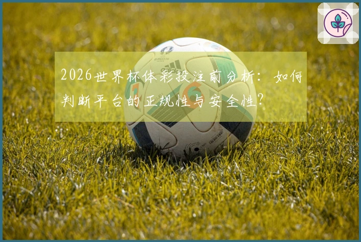 2026世界杯体彩投注前分析：如何判断平台的正规性与安全性？